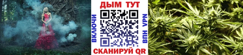 Гашиш Кувшиново
