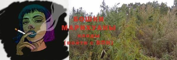 стаф Козельск