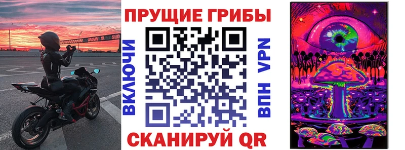 как найти закладки Кувшиново ссылка на мегу зеркало Галлюциногенные грибы Psilocybine cubensis